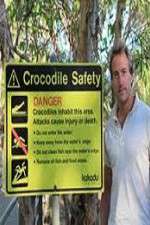 Watch Swimming With Crocodiles Megavideo