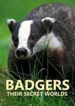 Watch Badgers: Their Secret Worlds Megavideo