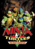 Watch Ninja Turtles: The Next Mutation Megavideo