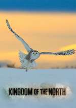 Watch Kingdom of the North Megavideo