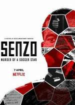 Watch Senzo: Murder of a Soccer Star Megavideo