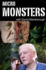 Watch Micro Monsters 3D with David Attenborough Megavideo