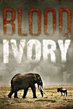 Watch Blood Ivory Megavideo