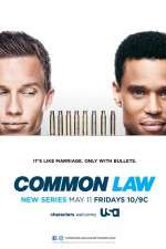Watch Common Law Megavideo