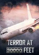 Terror at 30,000 Feet megavideo