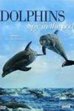 Watch Dolphins: Spy in the Pod Megavideo