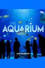 Watch The Aquarium Megavideo