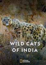 Watch Wild Cats of India Megavideo