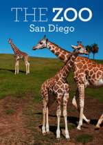 Watch The Zoo: San Diego Megavideo