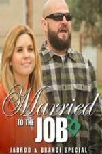 Watch Brandi And Jarrod Married To The Job Megavideo