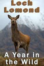 Watch Loch Lomond: A Year in the Wild Megavideo