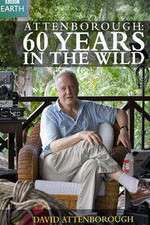 Watch Attenborough 60 Years in the Wild Megavideo