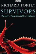 Watch Survivors: Nature's Indestructible Creatures Megavideo