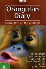Watch Orangutan Diary Megavideo