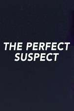 Watch The Perfect Suspect Megavideo