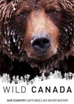 Watch Wild Canada Megavideo