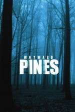 Watch Wayward Pines Megavideo