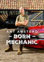 Watch Ant Anstead: Born Mechanic Megavideo