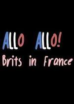 Watch Allo Allo! Brits in France Megavideo