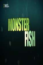 Watch National Geographic Monster Fish Megavideo