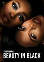 Watch Tyler Perry\'s Beauty in Black Megavideo