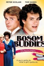 Watch Bosom Buddies Megavideo