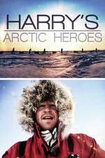 Watch Harry Welcomes Arctic Heroes Megavideo