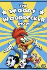 Watch The Woody Woodpecker Show Megavideo