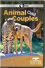 Watch Animal Odd Couples Megavideo