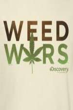 Watch Weed Wars Megavideo