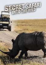 Watch Secret Safari: Into the Wild Megavideo