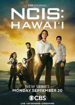Watch NCIS: Hawai'i Megavideo