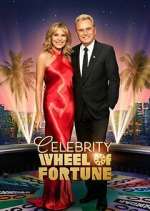 Watch Celebrity Wheel of Fortune Megavideo