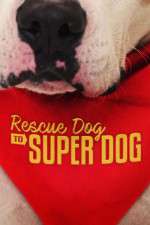 Watch Rescue Dog to Super Dog (US) Megavideo