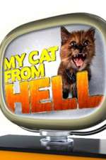 Watch My Cat from Hell Megavideo