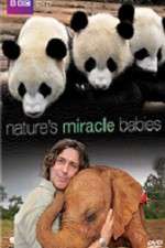 Watch Natures Miracle Babies Megavideo