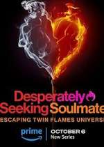 Watch Desperately Seeking Soulmate: Escaping Twin Flames Universe Megavideo