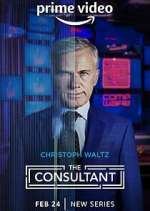 Watch The Consultant Megavideo