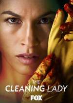 Watch The Cleaning Lady Megavideo