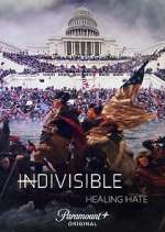 Watch Indivisible: Healing Hate Megavideo