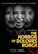 Watch The Horror of Dolores Roach Megavideo