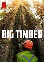 Watch Big Timber Megavideo