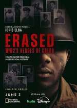 Watch Erased: WW2's Heroes of Color Megavideo