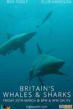 Watch Britain's Whales and Sharks Megavideo