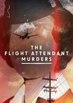 Watch The Flight Attendant Murders Megavideo