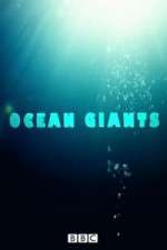 Watch Ocean Giants Megavideo