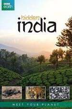 Watch Hidden India Megavideo