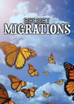 Watch Secret Migrations Megavideo