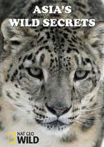 Watch Asia's Wild Secrets Megavideo