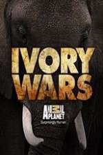Watch Ivory Wars Megavideo